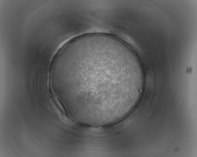 X0000092001220200709271501