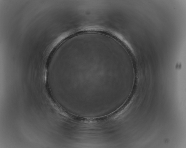 X0000092001221200709271501