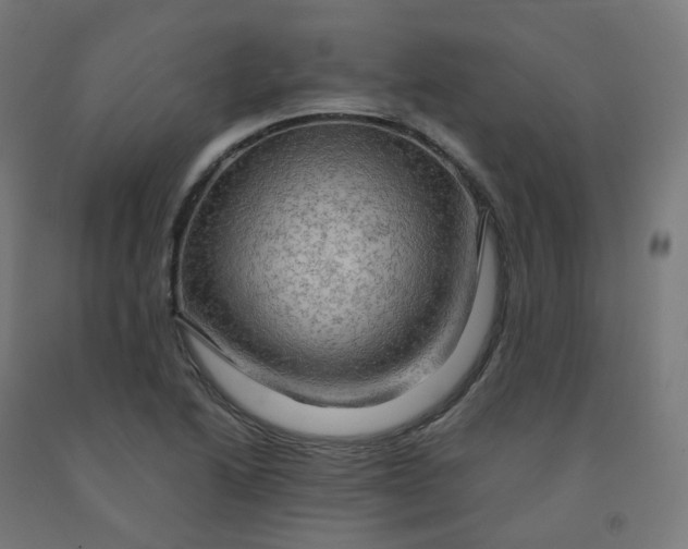 X0000092001222200709271501