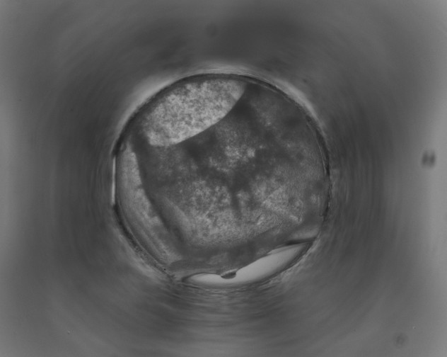 X0000092001223200709271501