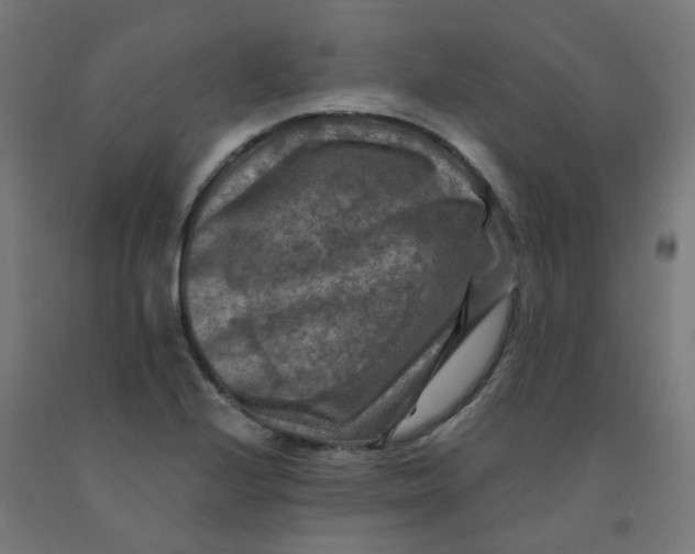 X0000092001224200709271501