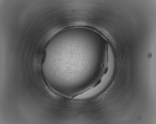 X0000092001225200709271501