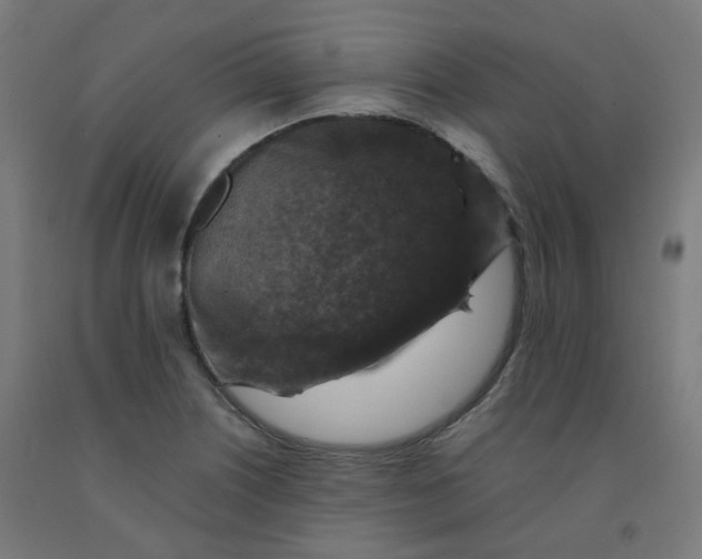 X0000092001226200709271501