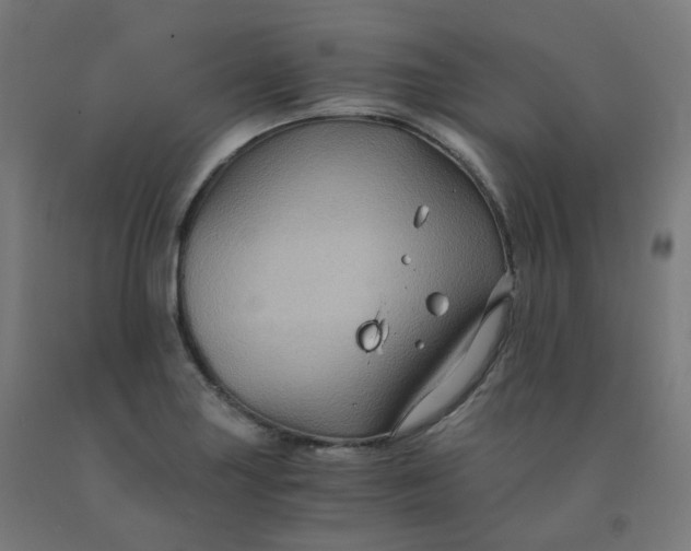 X0000092001227200709271501