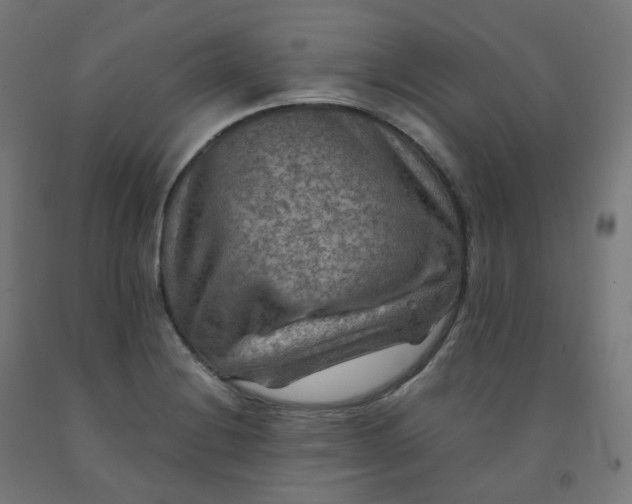 X0000092001228200709271501