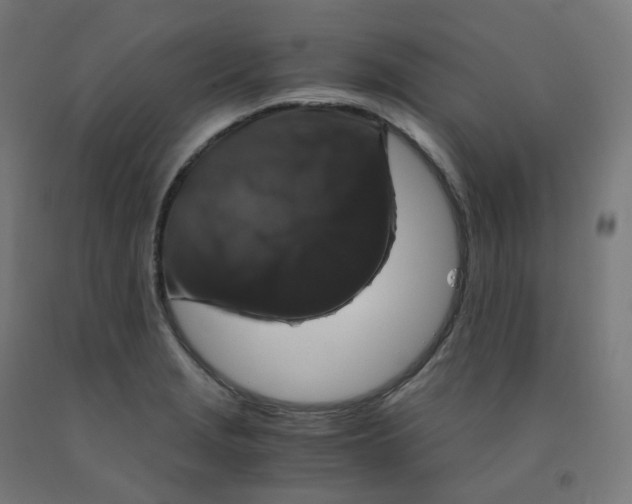 X0000092001229200709271501