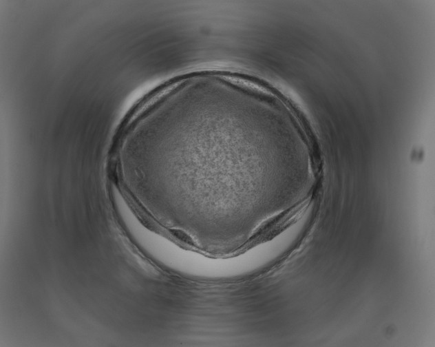 X0000092001230200709271501