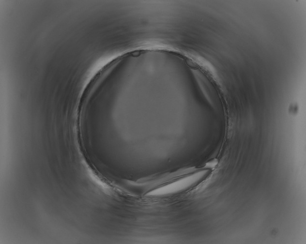 X0000092001231200709271501