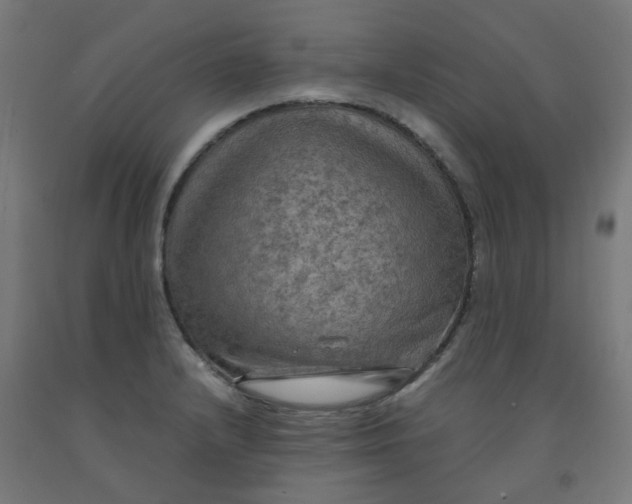 X0000092001232200709271501