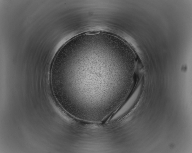 X0000092001234200709271501