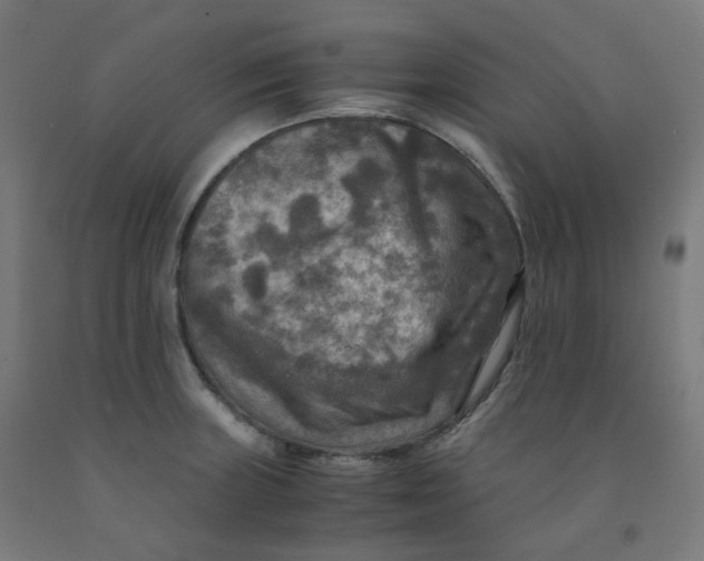 X0000092001235200709271501