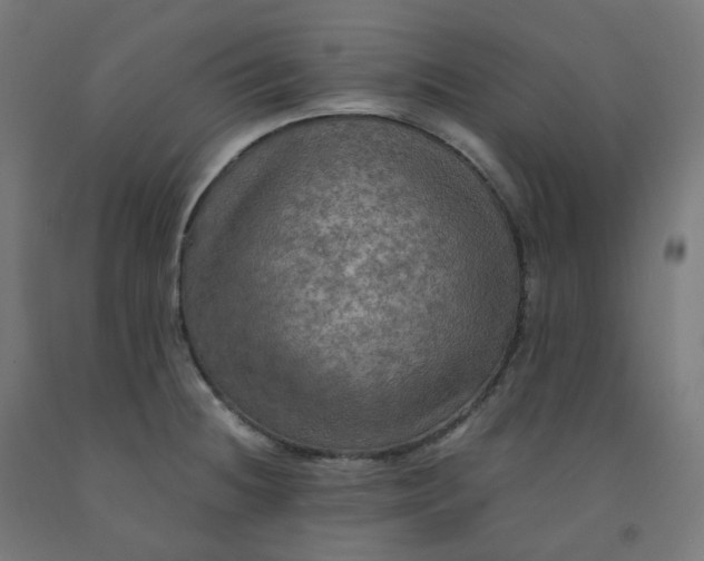 X0000092001236200709271501