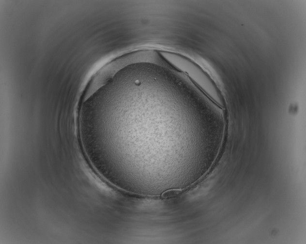 X0000092001238200709271501