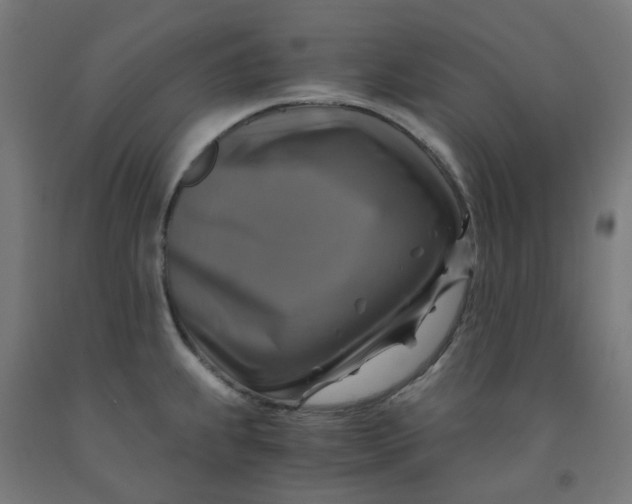 X0000092001239200709271501