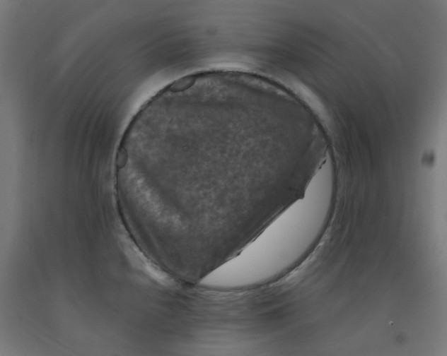 X0000092001240200709271501