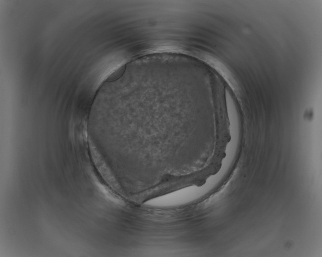 X0000092001241200709271501