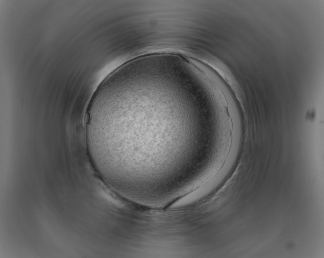 X0000092001242200709271501