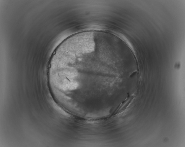 X0000092001243200709271501