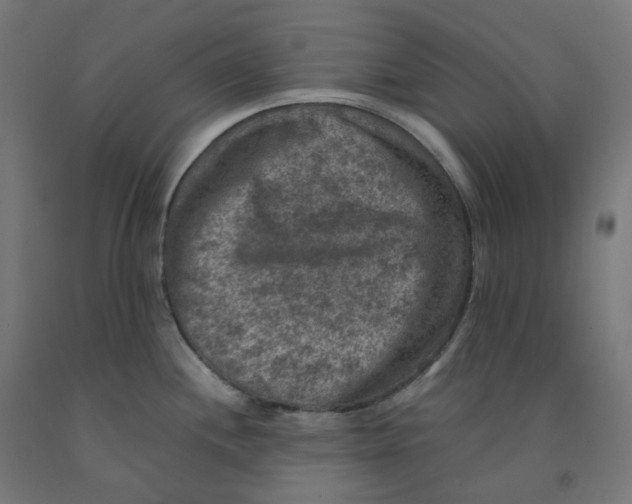 X0000092001244200709271501