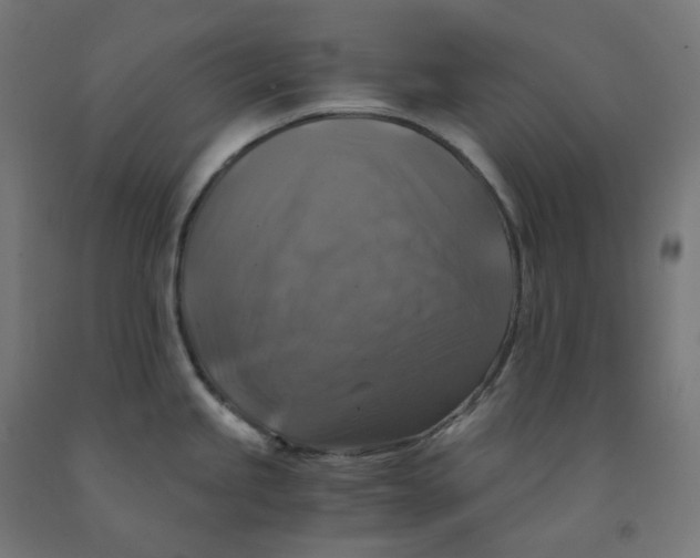 X0000092001245200709271501