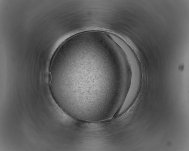 X0000092001246200709271501