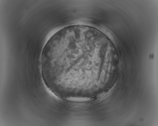 X0000092001247200709271501