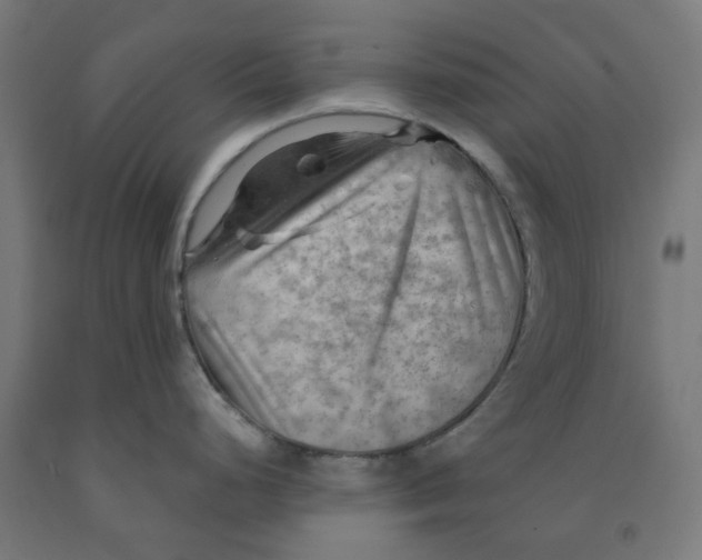 X0000092001248200709271501