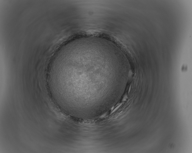 X0000092001249200709271501