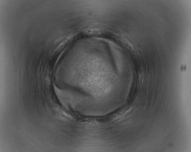 X0000092001250200709271501