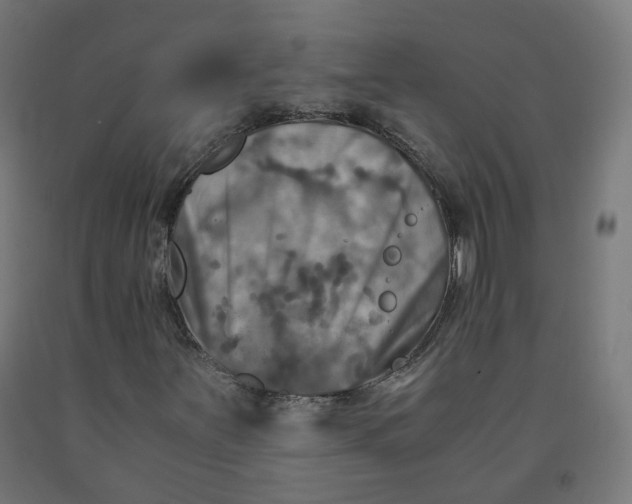 X0000092001251200709271501