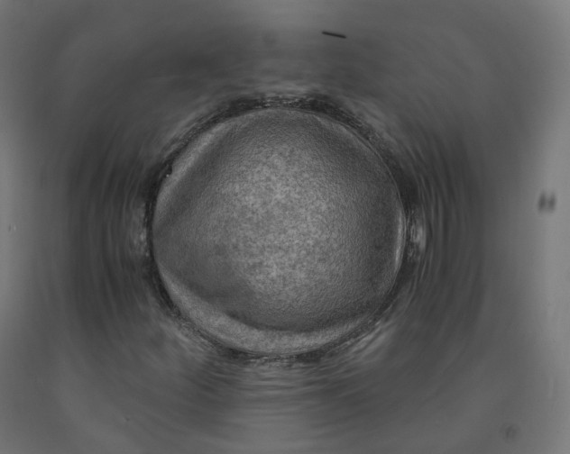 X0000092001252200709271501