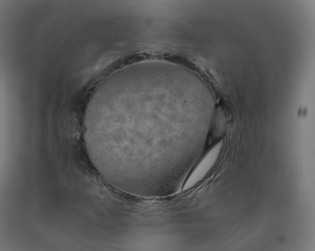 X0000092001253200709271501