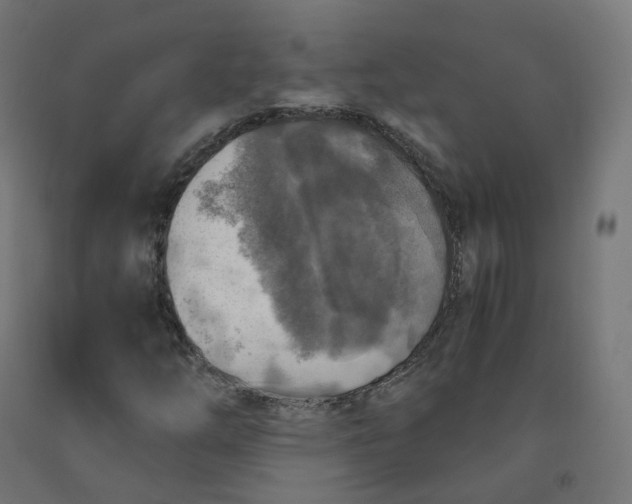 X0000092001254200709271501