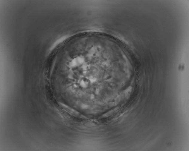 X0000092001255200709271501