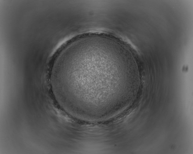 X0000092001256200709271501