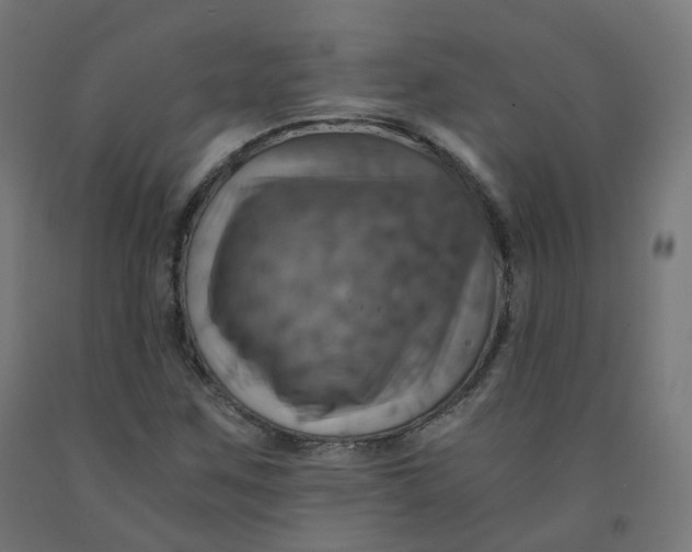 X0000092001259200709271501