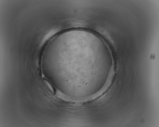 X0000092001261200709271501