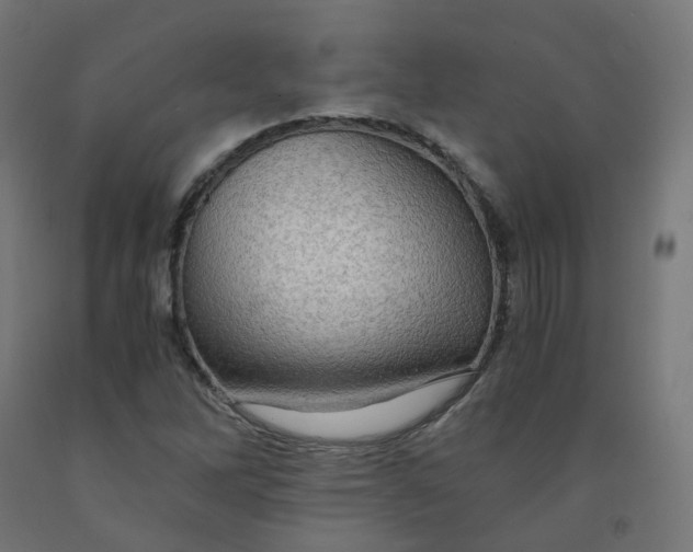 X0000092001262200709271501