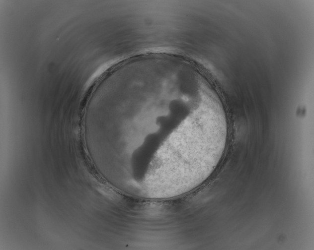 X0000092001266200709271500