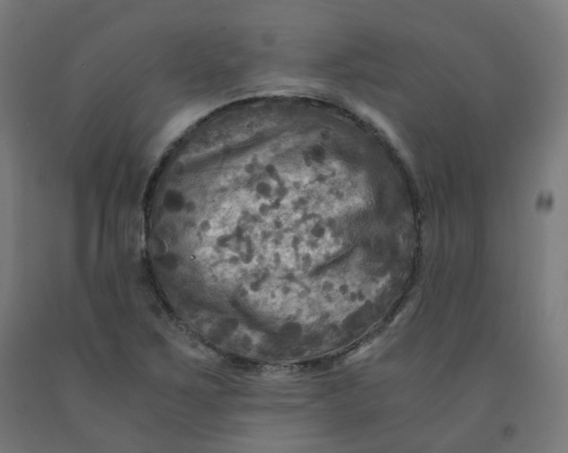 X0000092001267200709271500