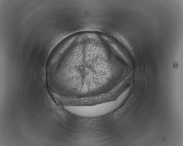 X0000092001268200709271500