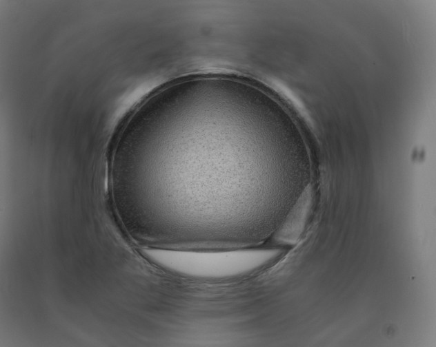 X0000092001269200709271500