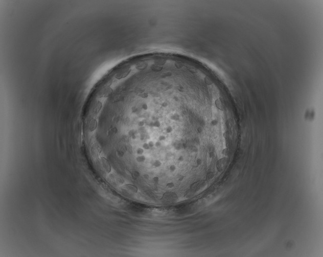 X0000092001271200709271500