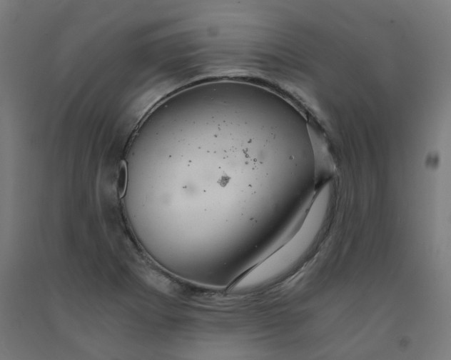 X0000092001273200709271500