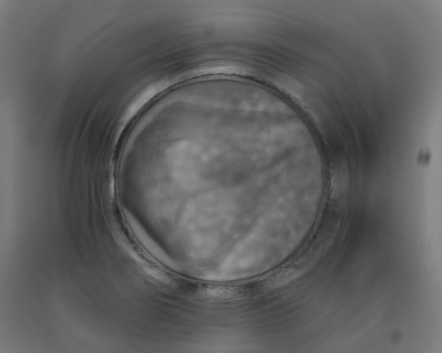 X0000092001274200709271500