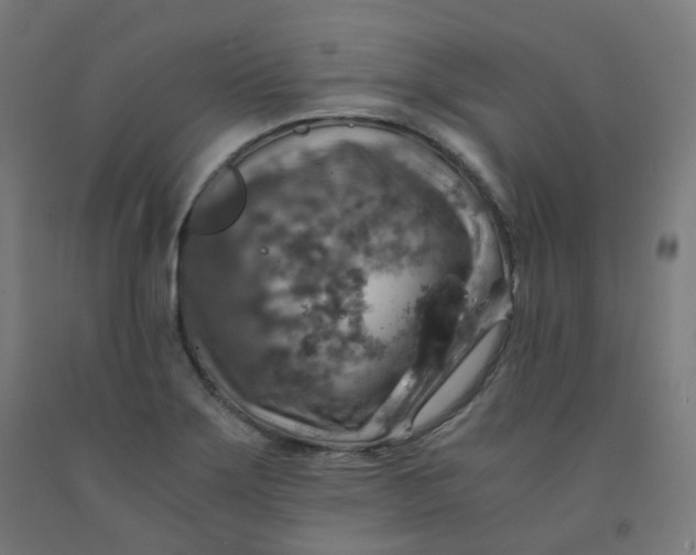 X0000092001275200709271500