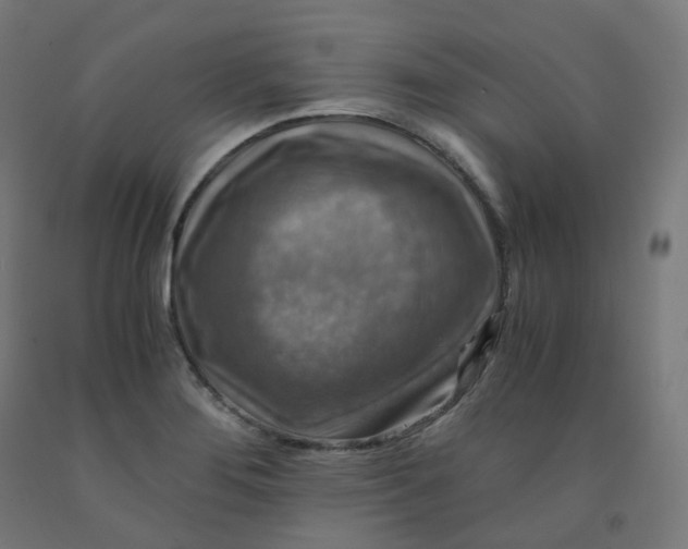 X0000092001276200709271500