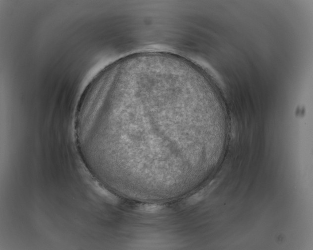 X0000092001278200709271500