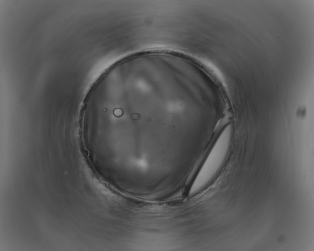 X0000092001279200709271500