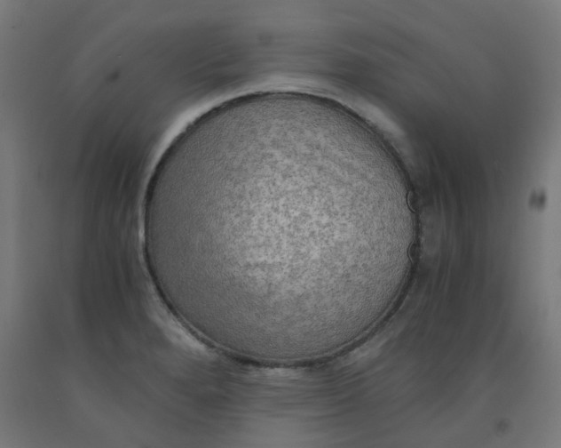 X0000092001280200709271500